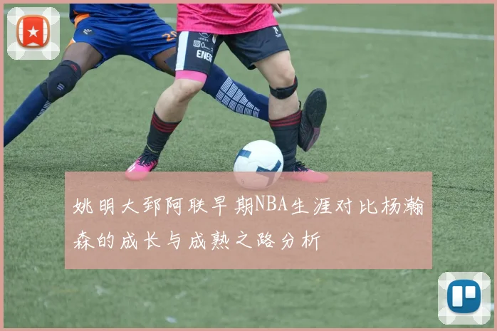 姚明大郅阿联早期NBA生涯对比杨瀚森的成长与成熟之路分析