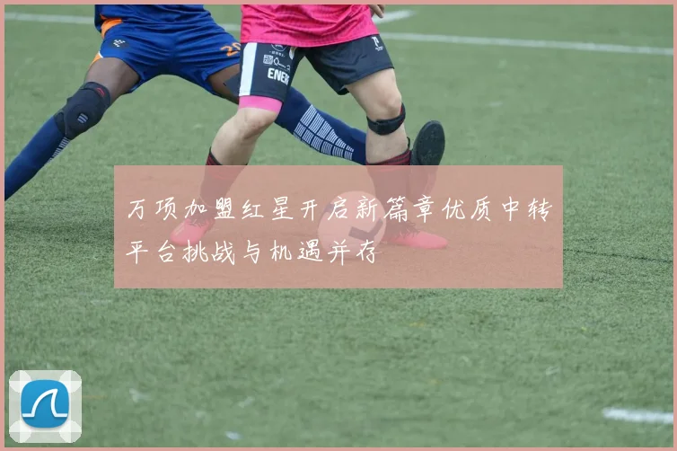 万项加盟红星开启新篇章优质中转平台挑战与机遇并存